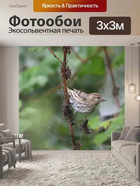 Фотообои Птица