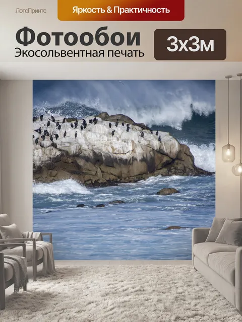 Фотообои Бакланы на валуне в море