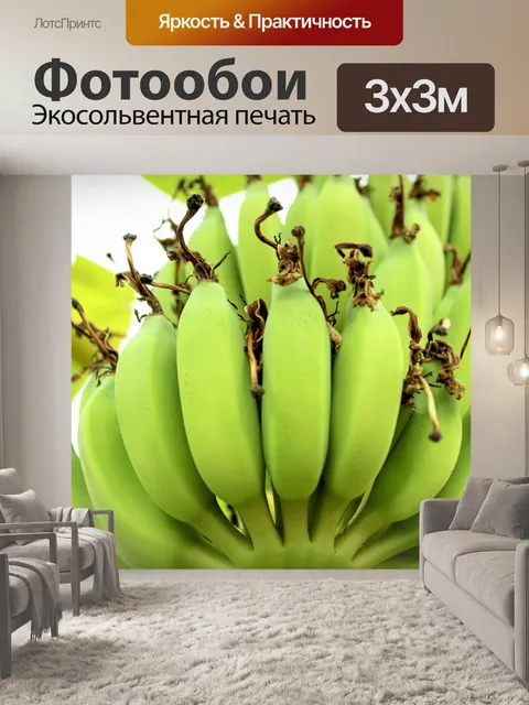 Фотообои Гроздь созревания бананового дерева