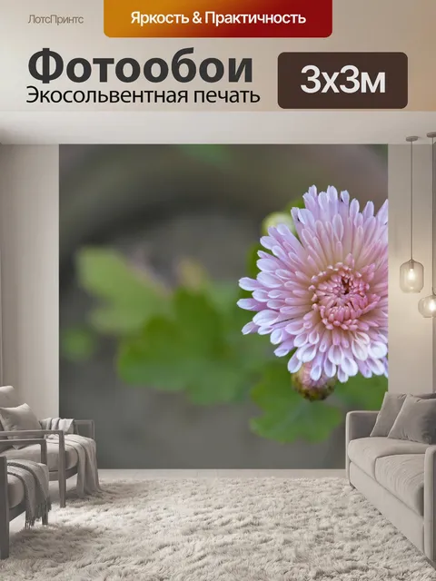Фотообои Крупным планом цветок