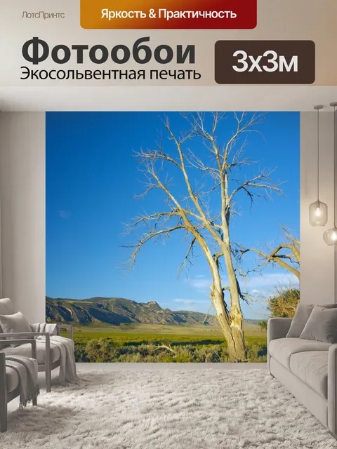 Фотообои Мертвое дерево над луг