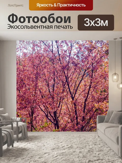 Фотообои Prunus cerasoides, дикая гималайская виш
