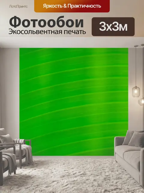 Фотообои Деталь листьев пальмы