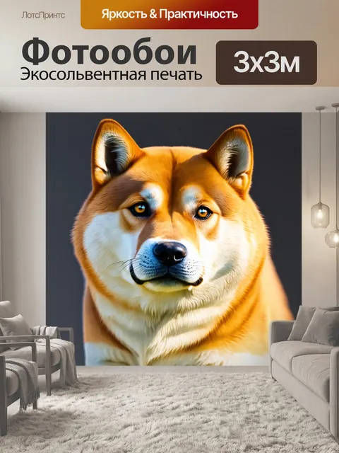 Фотообои изображение сиба-ину в деталях, акцент на текстуре шерсти и формостях тела