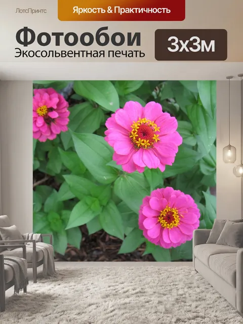 Фотообои Блум