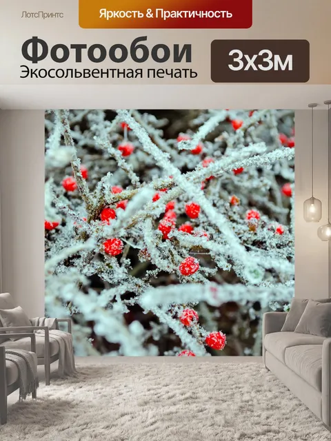 Фотообои Красные ягоды и мороз
