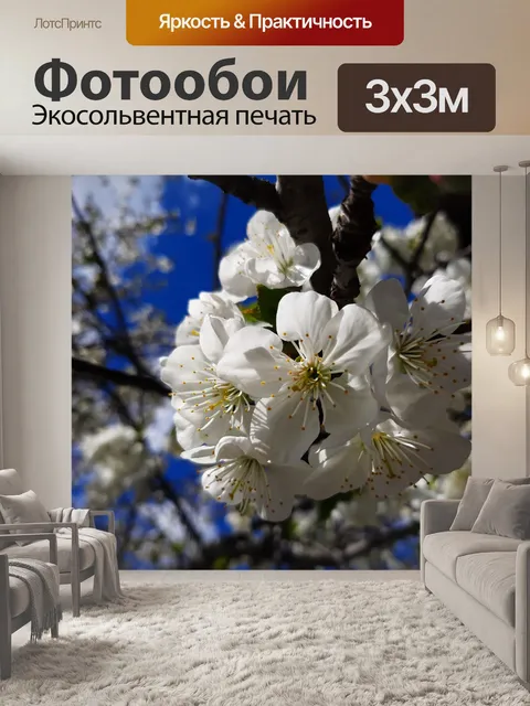Фотообои Весна