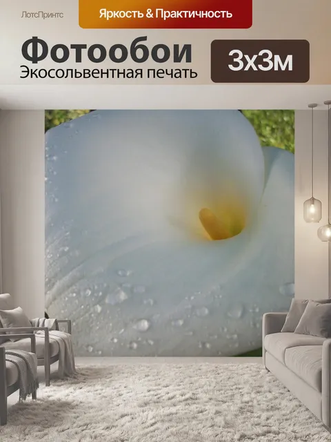 Фотообои Арум лилии