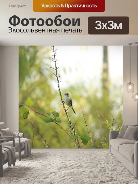 Фотообои Природа