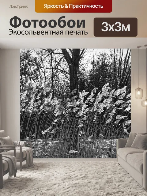Фотообои Тростник