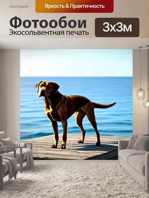 Фотообои лабрадор, стоящий на крепкой деревянной пристани с видом на море