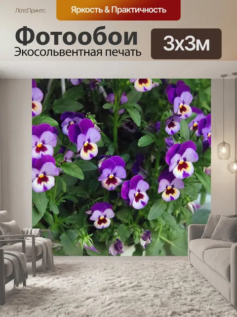 Фотообои Цветок
