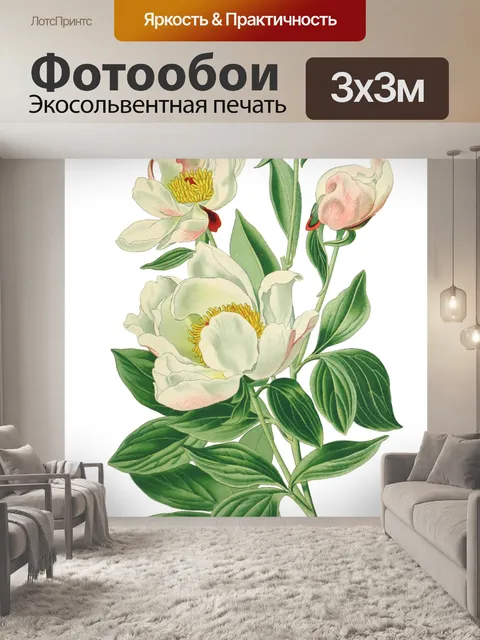 Фотообои Винтажные иллюстрации искусства цветы