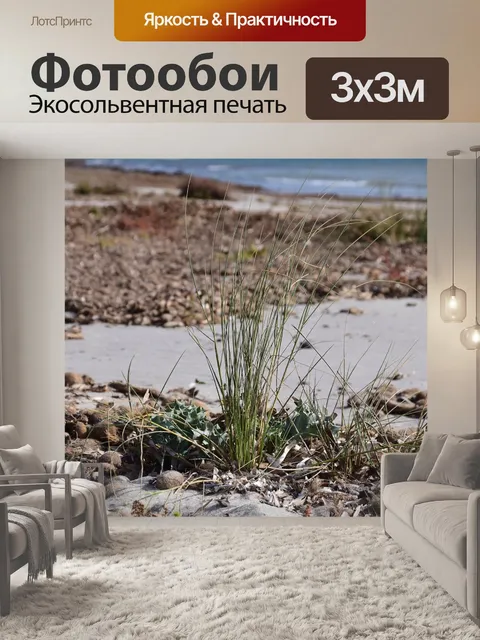 Фотообои Пляж
