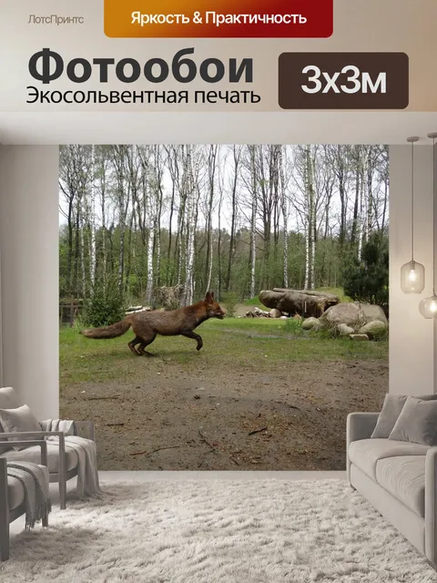 Фотообои Лиса