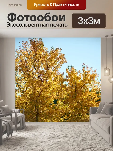 Фотообои Дерево