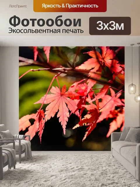 Фотообои Япония