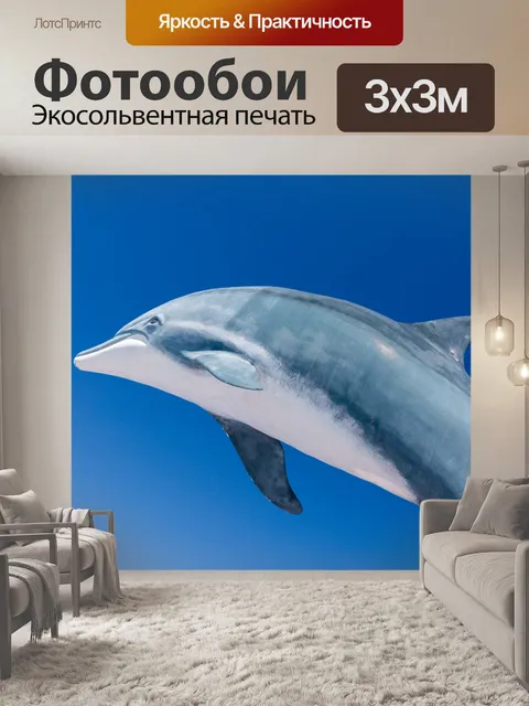 Фотообои Дельфин и голубое небо