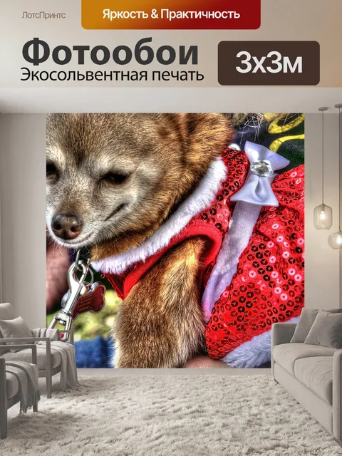 Фотообои Рождественская собака чихуахуа