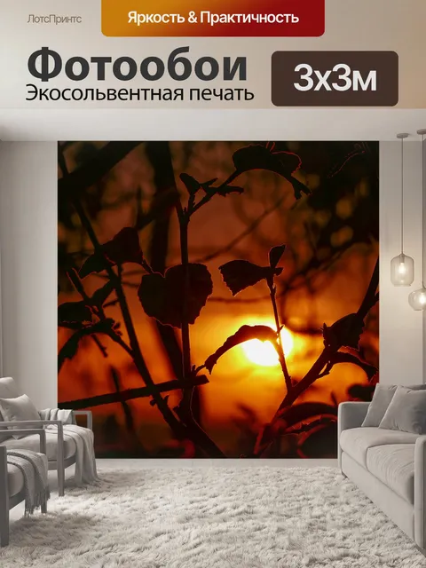 Фотообои Заход солнца