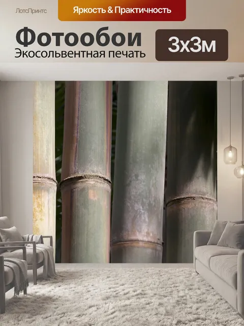 Фотообои Гигантский dendrocalamus