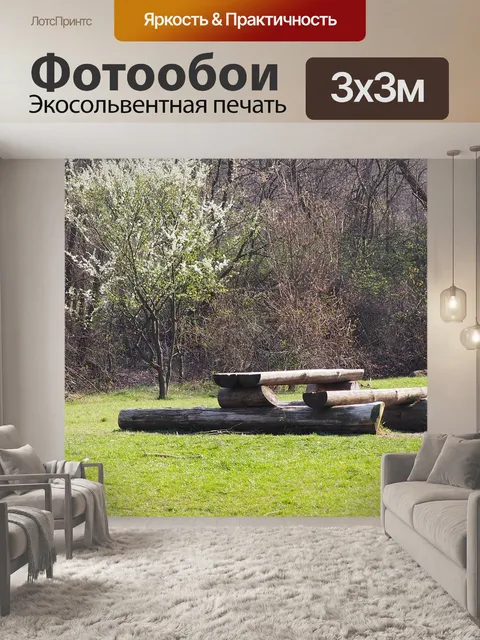 Фотообои Пикник