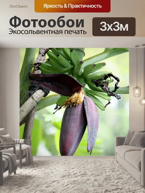 Фотообои Цветок банана и ребенка банан