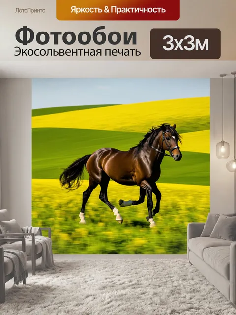 Фотообои конь, скачущий поверх холмов, желтые и зеленые поля вокруг