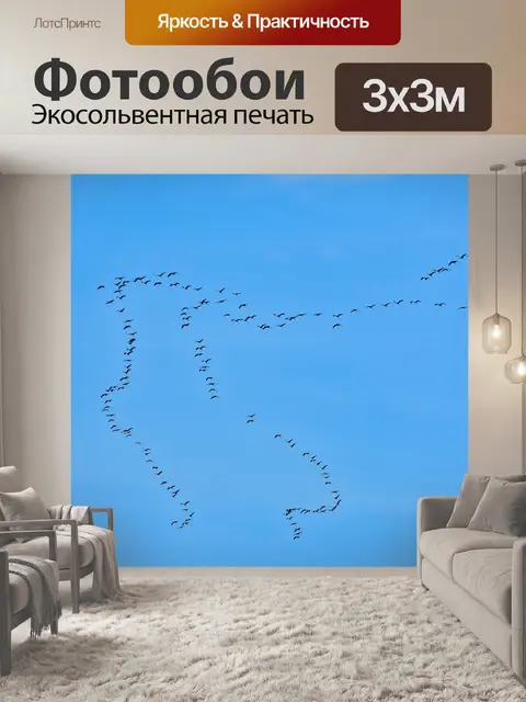 Фотообои Птицы