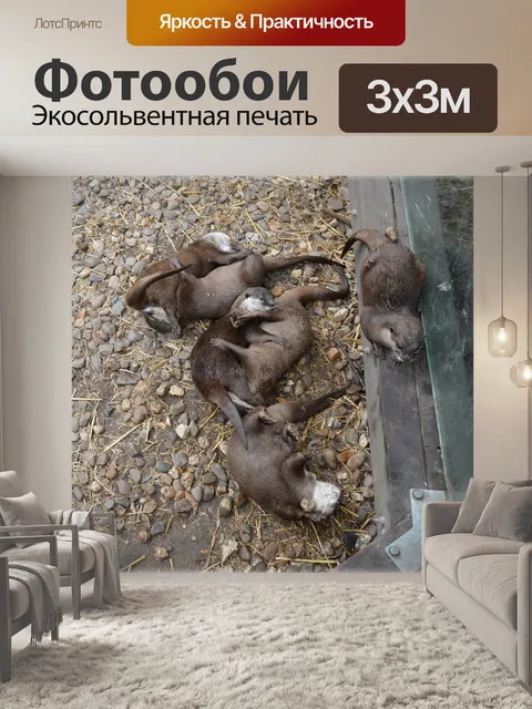 Фотообои Семья выдры 5