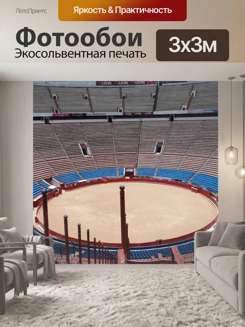 Фотообои Арена