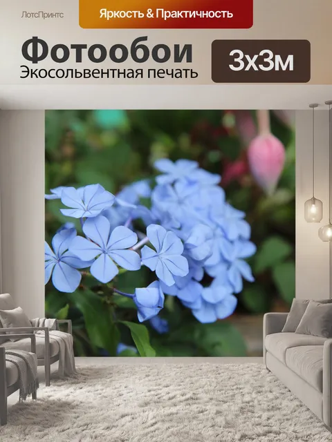 Фотообои Голубые цветки