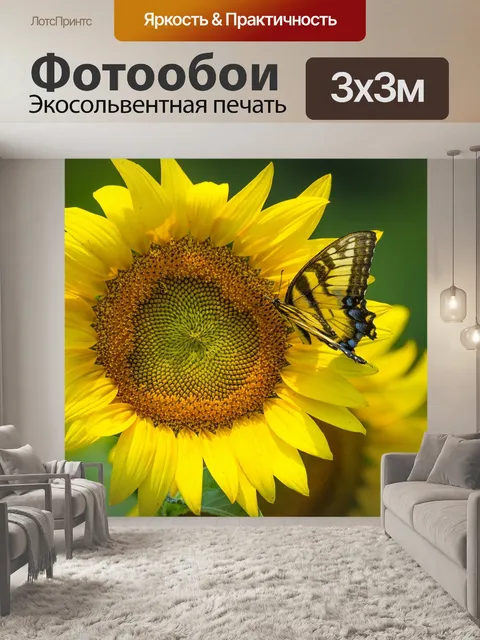 Фотообои подсолнух