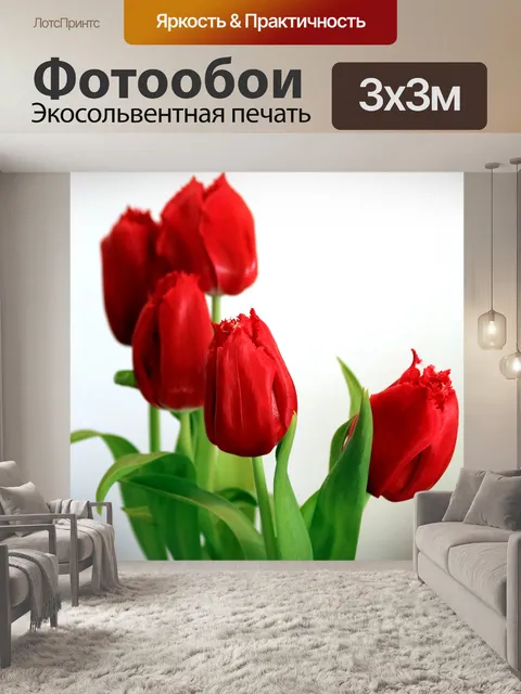 Фотообои Красные тюльпаны на белом фоне
