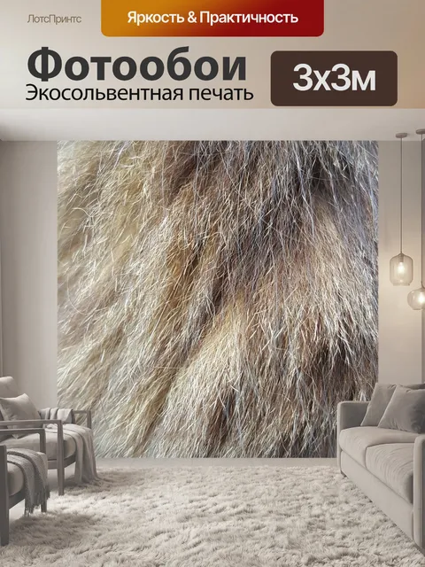 Фотообои Кошка