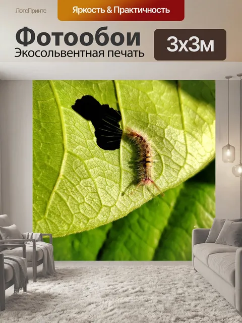 Фотообои Насекомые