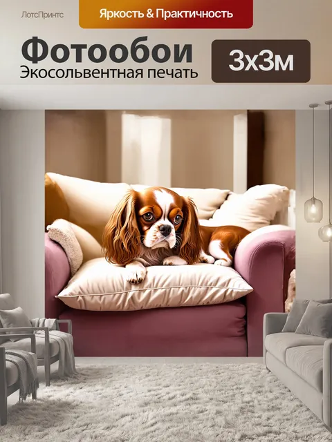 Фотообои кавалер кинг чарльз спаниель, уютно устроившийся на мягком диване, смотрит с нежностью и преданностью