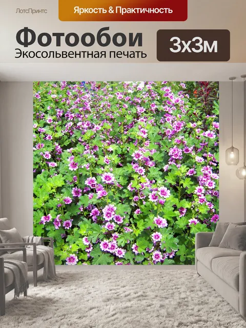 Фотообои Розовый и фиолетовый цветы
