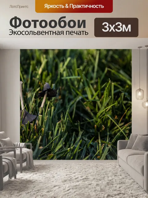 Фотообои Газон гриб в фиолетовый