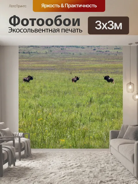 Фотообои черный гну на зеленых лугах