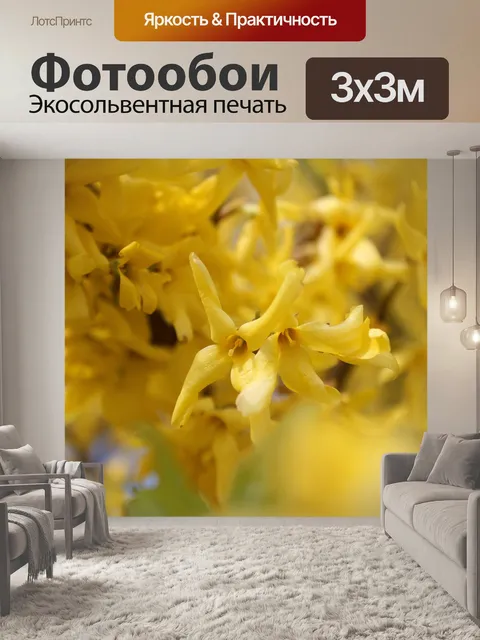 Фотообои Цветок
