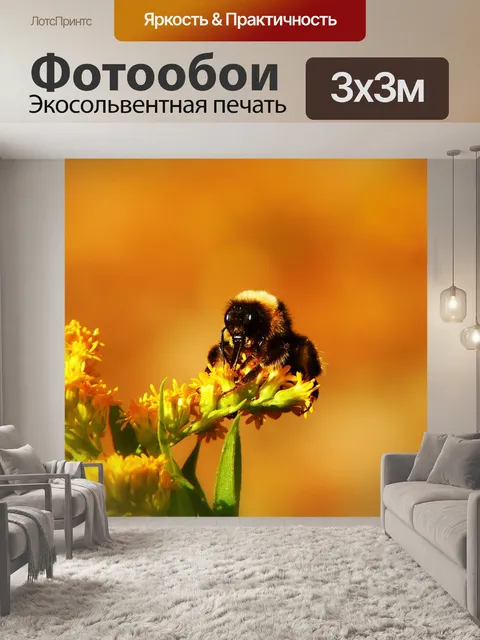 Фотообои Шмель газ