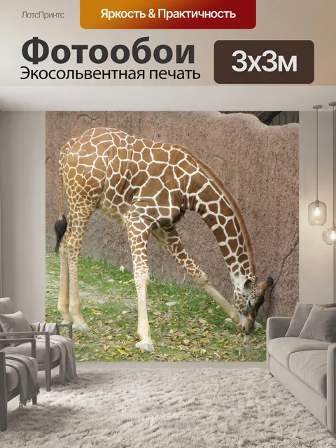 Фотообои Жираф Выпас