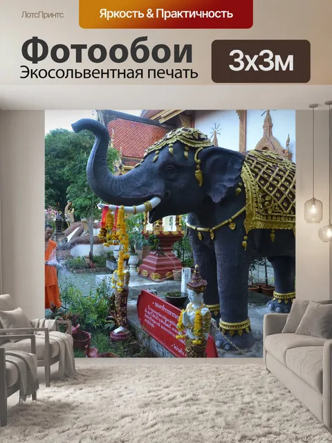 Фотообои Слон