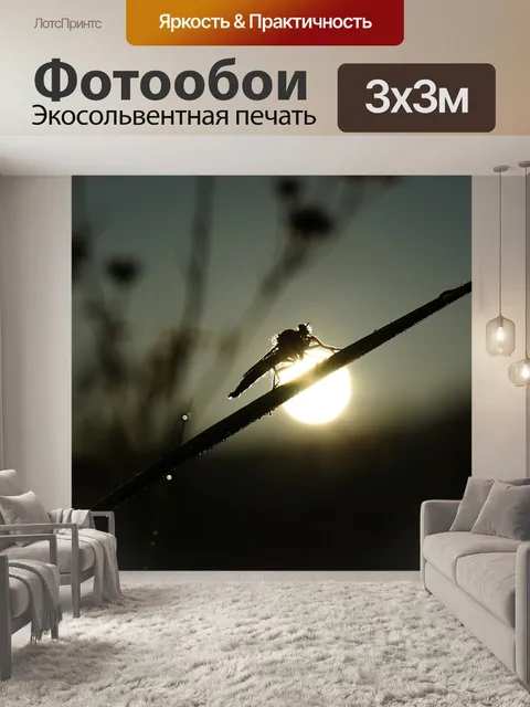 Фотообои Стрекоза