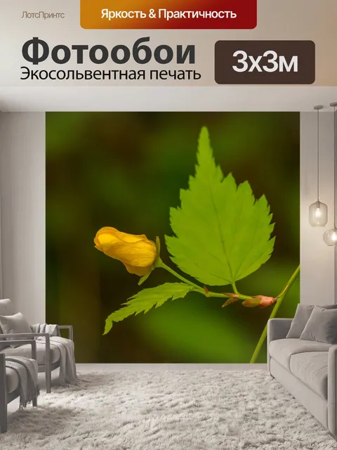 Фотообои Бутон