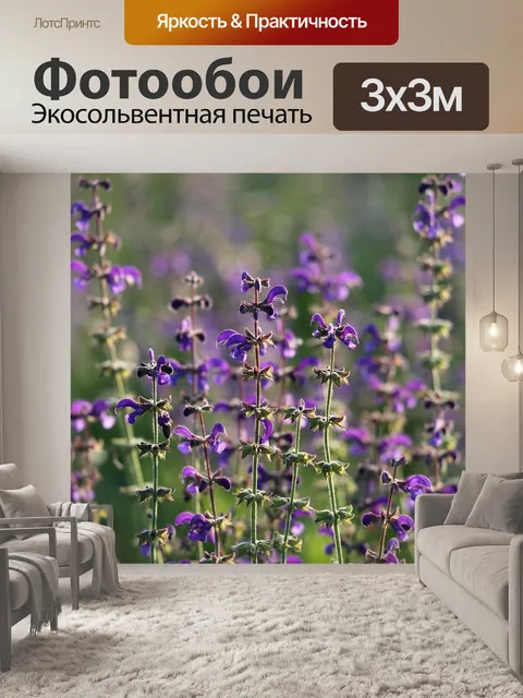 Фотообои Луговой шалфей