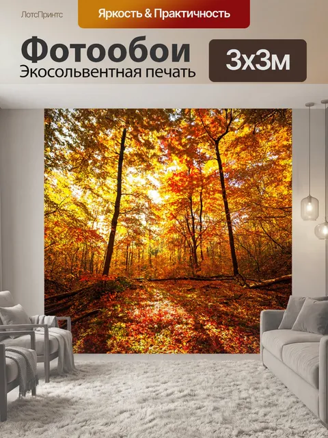 Фотообои осенний лес с листьями, сверкающими на солнце и создающими яркие цветные тени