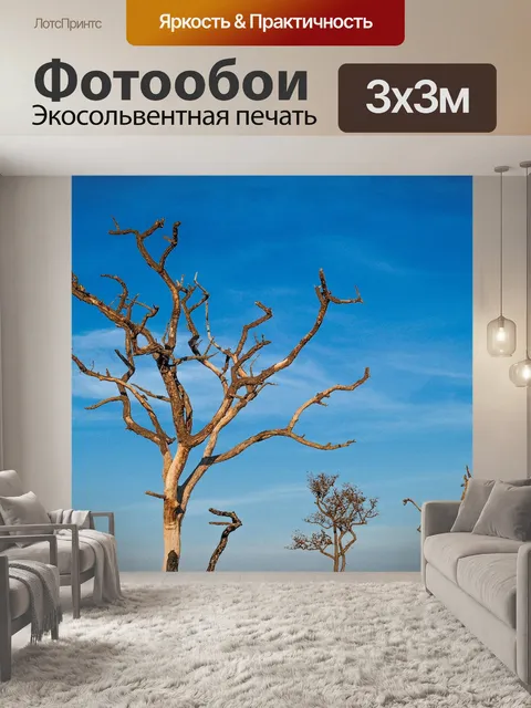 Фотообои Мертвое дерево, силуэт дерева