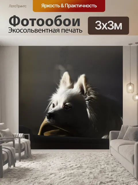 Фотообои Белый Поморское